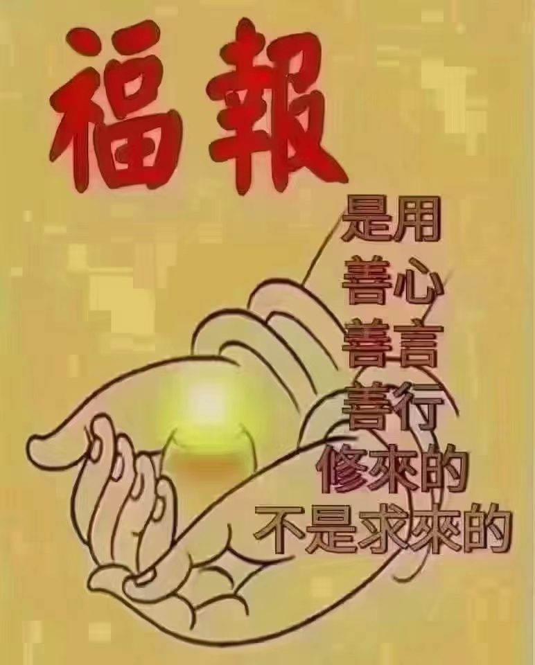 修福报.jpg